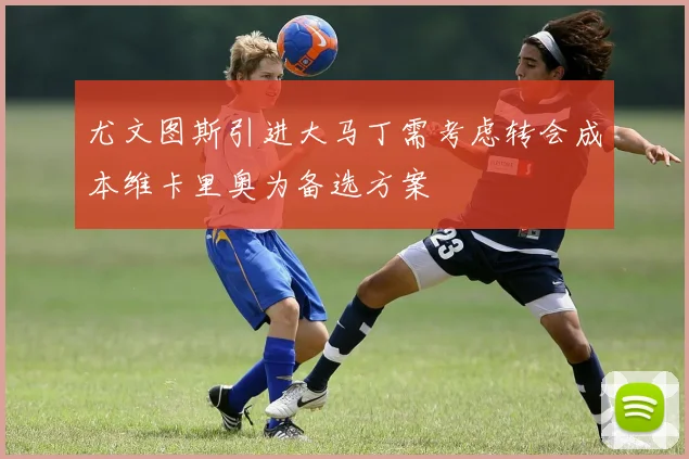 尤文图斯引进大马丁需考虑转会成本维卡里奥为备选方案